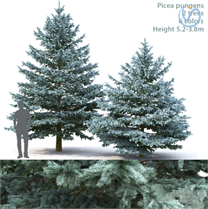 modern landscape tree 3d model